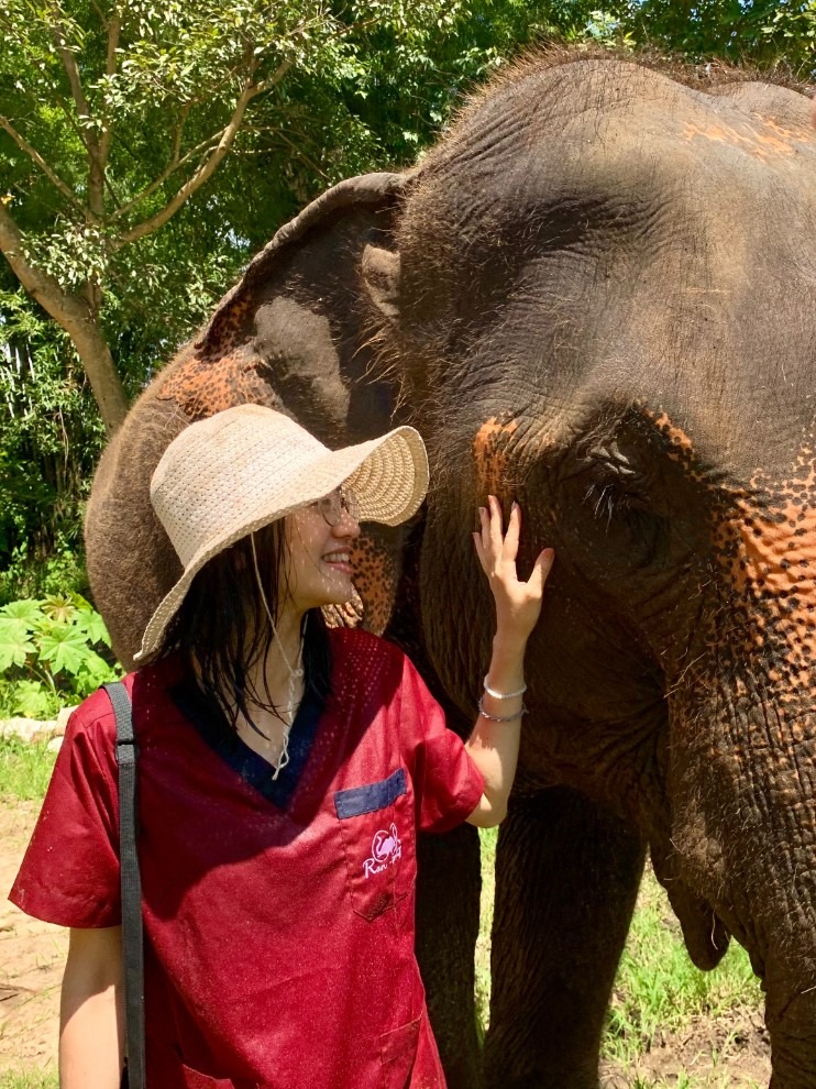 【清邁數位游牧】泰國清邁吸引數位游牧者Digital-Nomad的10個原因_elephant