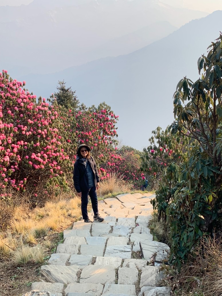 尼泊爾ABC+Poon Hill九日健行(安娜普納基地營)：Day2我願是滿山的杜鵑，只為一次無憾的春天(2)