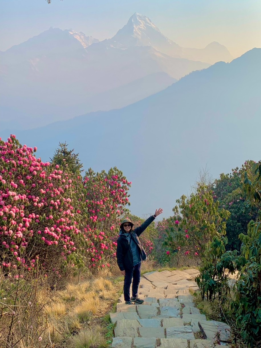 尼泊爾ABC+Poon Hill九日健行(安娜普納基地營)：Day3 到Poon Hill潘恩山(3210m)看日出(5)