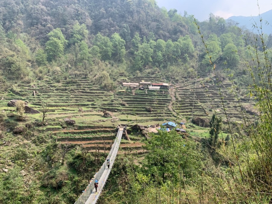 尼泊爾ABC+Poon Hill九日健行(安娜普納基地營)：Day5 覺知與有著大坑洞的路(5)